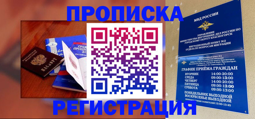 временная регистрация для школы в Мурино